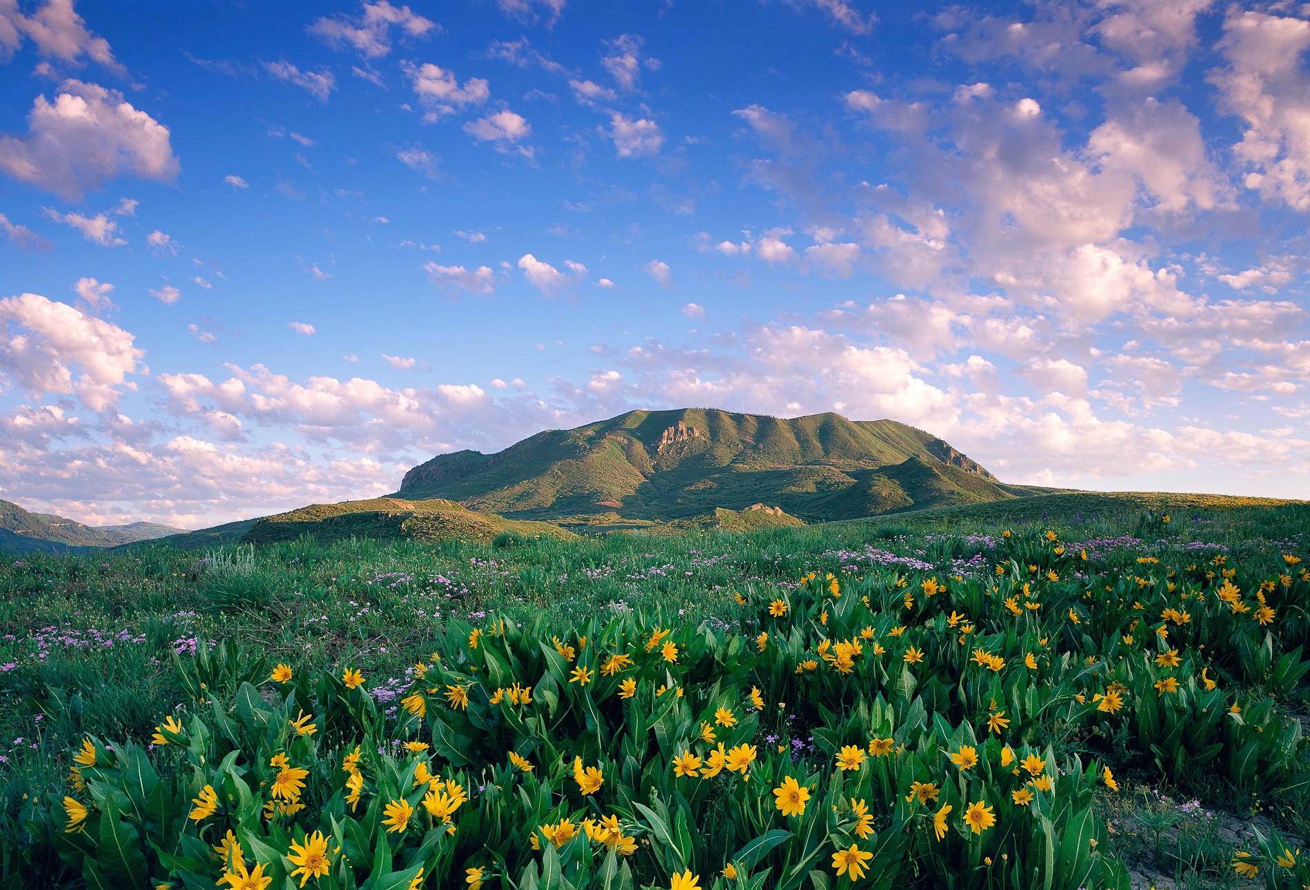 Sleeping Giant Spring Sunrise.jpg